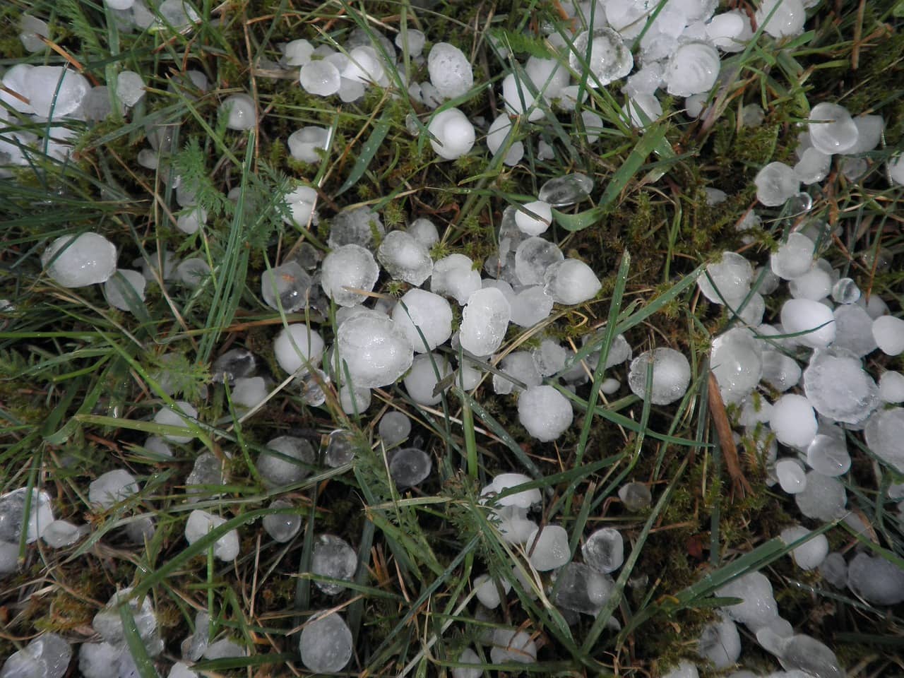 hagel